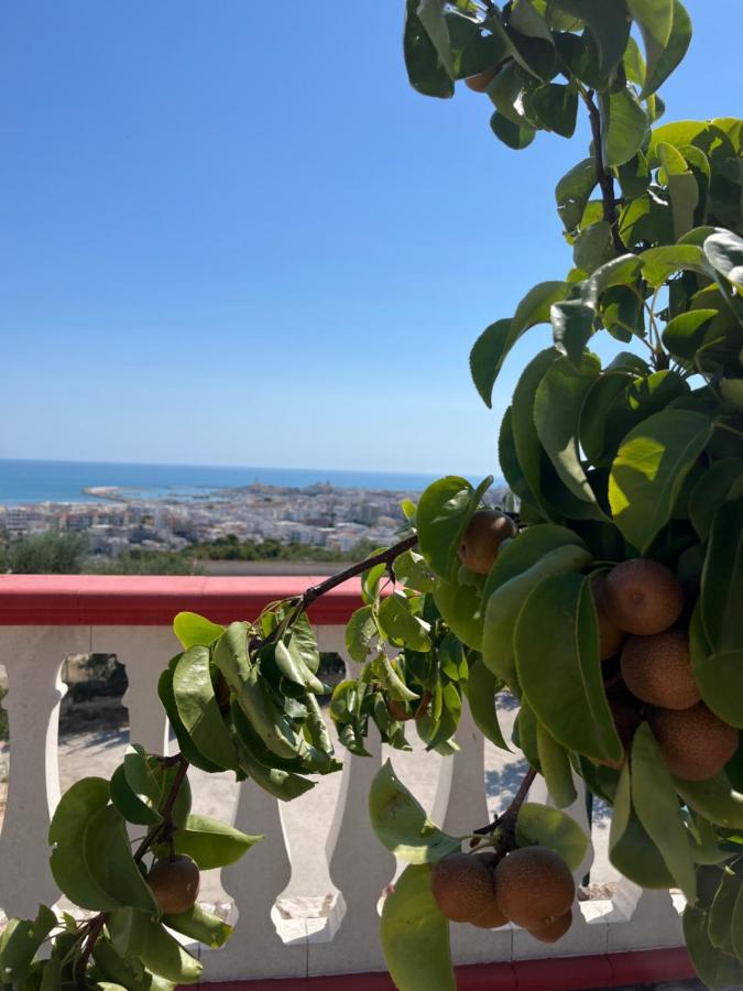 Case Vacanze Con Vista Panoramica Da Antonella Vieste Dış mekan fotoğraf